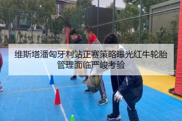 维斯塔潘匈牙利站正赛策略曝光红牛轮胎管理面临严峻考验