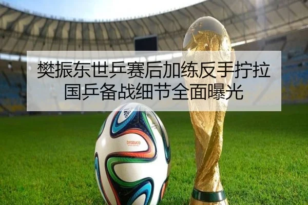 樊振东世乒赛后加练反手拧拉 国乒备战细节全面曝光